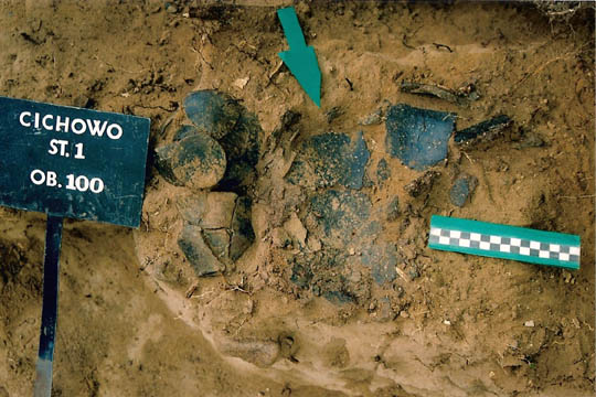 ilustracja dekoracyjna