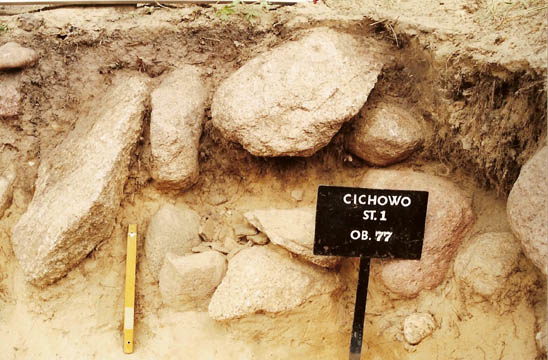 ilustracja dekoracyjna