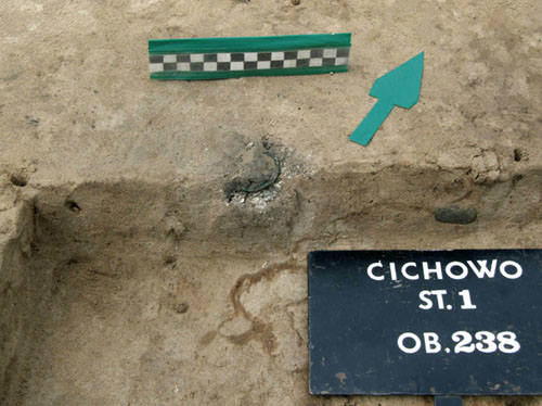 ilustracja dekoracyjna