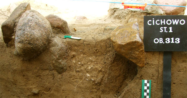 ilustracja dekoracyjna