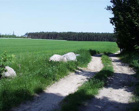 ilustracja dekoracyjna