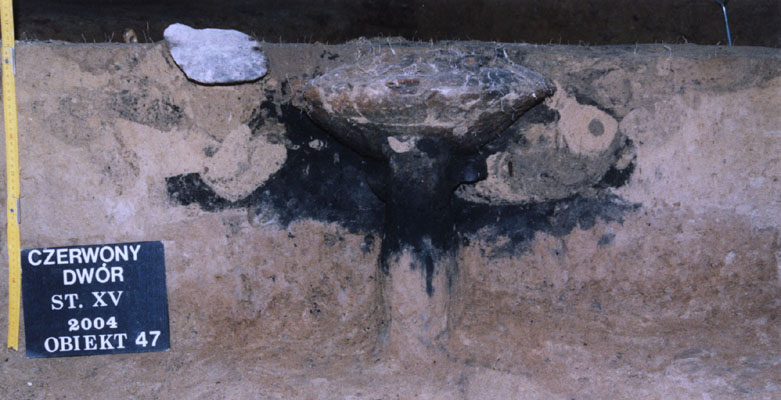 ilustracja dekoracyjna