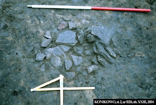 ilustracja dekoracyjna