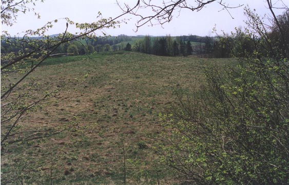 ilustracja dekoracyjna