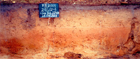 ilustracja dekoracyjna